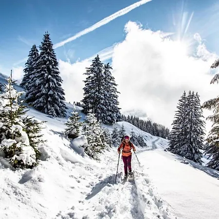 Portes Du Soleil Psb196 Telecabine & Mountain 4 Per Chatel